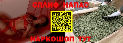spice Обь