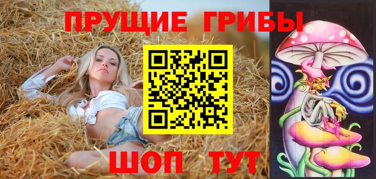 Тихвин  Псилоцибиновые грибы мицелий  Псилоцибиновые грибы Cubensis  Вход с VPN 